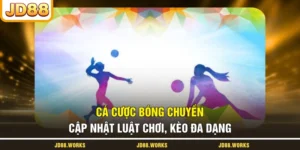 Cá Cược Bóng Chuyền - Cập Nhật Luật Chơi, Kèo Đa Dạng
