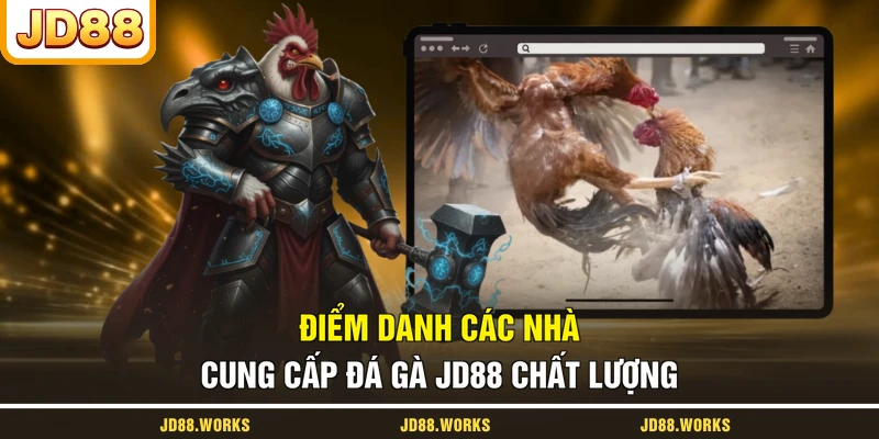 Điểm danh các nhà cung cấp đá gà JD88 chất lượng