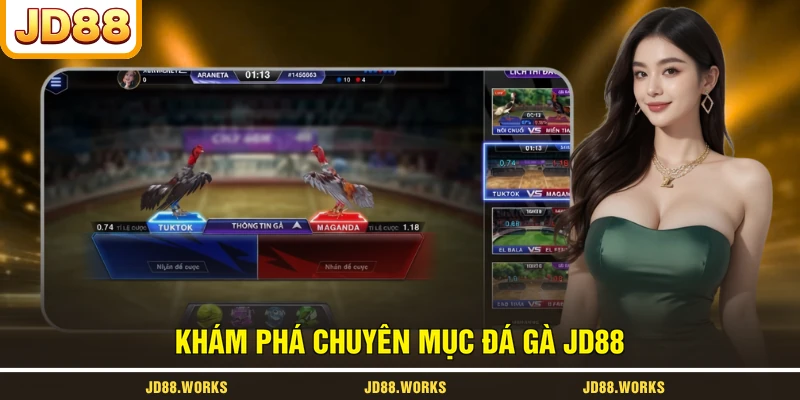 Khám phá chuyên mục đá gà JD88