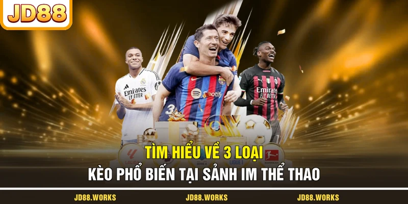 Tìm hiểu về 3 loại kèo phổ biến tại sảnh IM thể thao